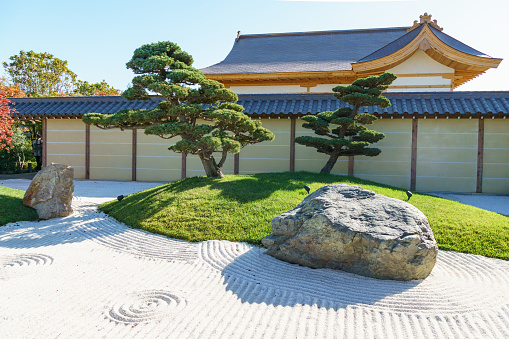 Bonsai pines (Pinus mugo or mountain pine) in dry landscaped Karesansui garden. Japanese garden in the public landscape park of Krasnodar or Galician park. Krasnodar, Russia - September 20, 2023