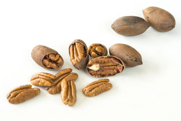 istock Assortment of peeled and shelled Pecan nuts on white background 1902860292