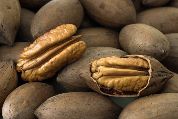 istock Peeled pecan nut among shelled Pecan nuts 1902868003