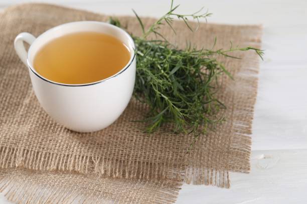 istock Aromatic herbal tea and fresh tarragon sprigs on white wooden table 1902948082