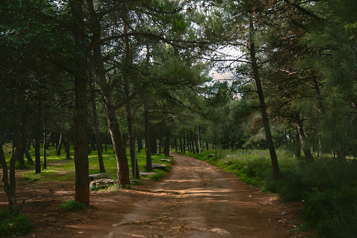 This photo was taken on a walk in of Crete's most beautiful natural parks.