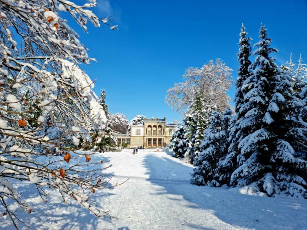 Classical building with columns in a snowy park with bare trees under a clear blue sky in Harrogate, North Yorkshire, UK.