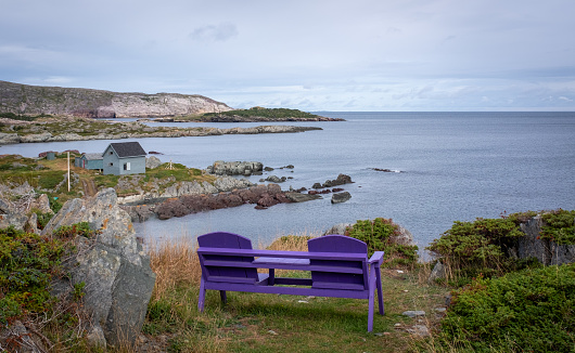 Puple Benches at Keels,Newfoundland, on the Bonavista Peninsula,overlooking the sea