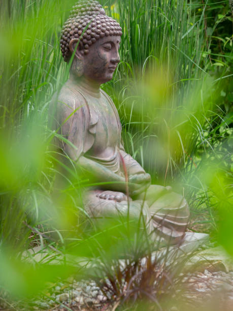 istock View of a bouddha statue in the grass 1902996800