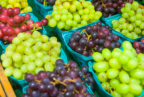 Varieties of fresh grapes in blue paperboard baskets at a Lancaster County, Pennsylvania farmers market.