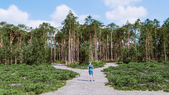 Woman wearing a mid-length blue dress and matching blue shoes, standing on a pathway through a natural landscape. She is viewed from behind, looking ahead towards a dense forest of tall, slender pine trees under a clear sky. The road ahead is forked. Concept of picking the right path to follow.