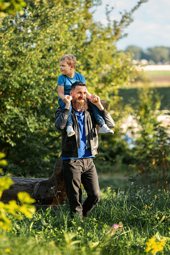 Dad and son walking in nature on a sunny summer day. The father carries his son on his shoulders, the boy is raised high and looks around and admires the summer nature.