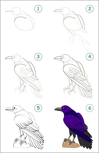 Educational page for kids shows how to learn step by step to draw a cute raven. Back to school. Developing children skills for drawing and coloring. Vector cartoon image.