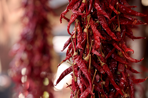 dried peppers hanging on wall