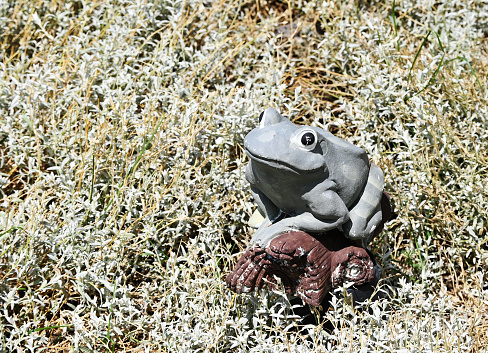 Plastic or ceramic frog figurine in the greenery.