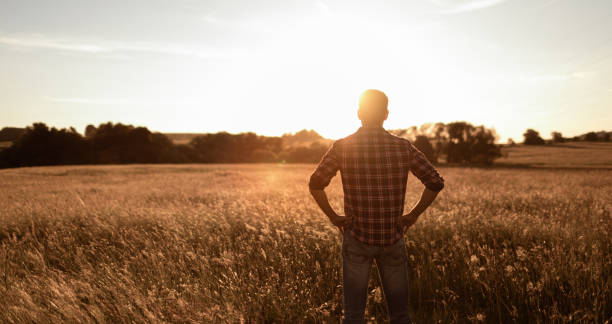istock Men looking at sunset. Hope, contemplation concept. 1903129453