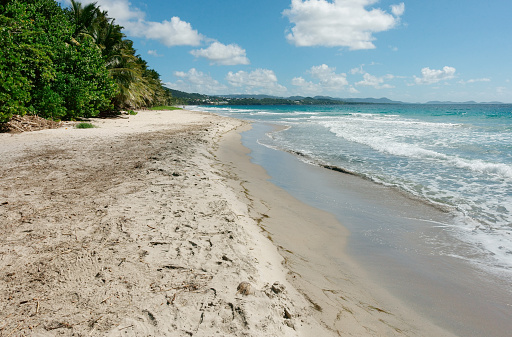 Beautiful view of calm waves rolling on sandy coast. Aruba. Atlantic Ocean.