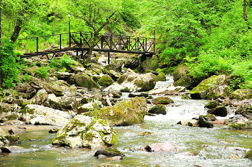 A metal bridge across the rocky bed of a stormy stream flowing down from the mountains through the morning summer forest. Tevenek River (Third River), Altai, Siberia, Russia.