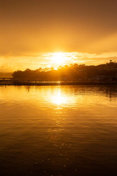 The sun sets over a tranquil lake in an amazing coastal sunset The golden hues of a lakeside sunset hope god lighting technique tree stock pictures, royalty-free photos & images