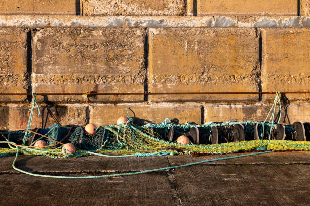 North Ireland - fishing nets