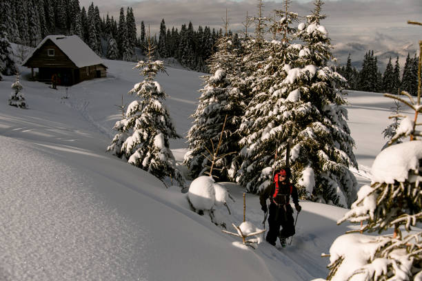 istock active skier is climbing the hill on splitboard. Ski touring in mountains. 1903280585