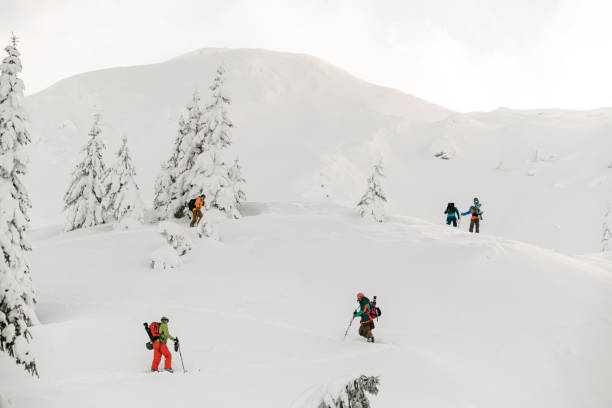 istock Tourists with splitboards walks on snow, extreme ascent and ski touring. 1903282417