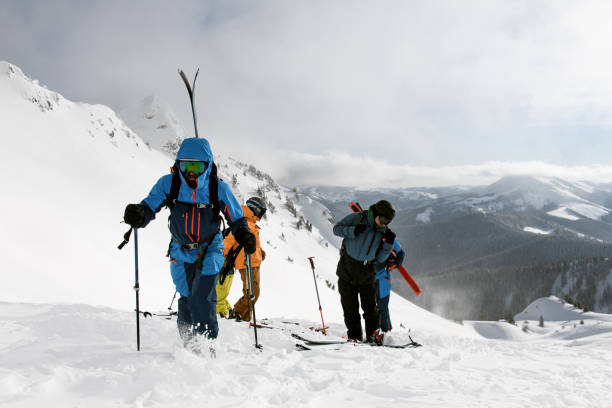 istock Active people climbing snowy hill on mountain on skis and splitboards 1903282963