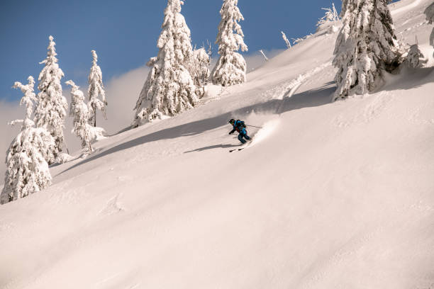 istock skier descending down the snowy hill on splitboard and shredding powder snow. 1903284037