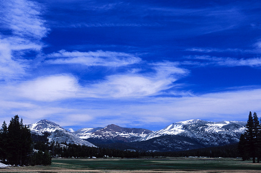 High Sierra view with trees and snow covered mountain peaks in the background.\n\nTaken in Yosemite National Park, California, USA