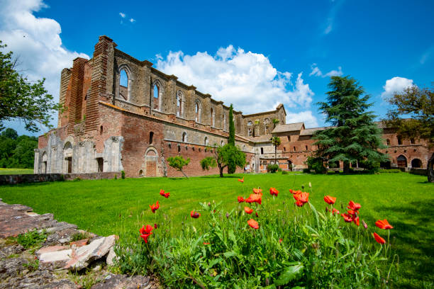 ruins of abbey of san galgano - san galgano stock-fotos und bilder