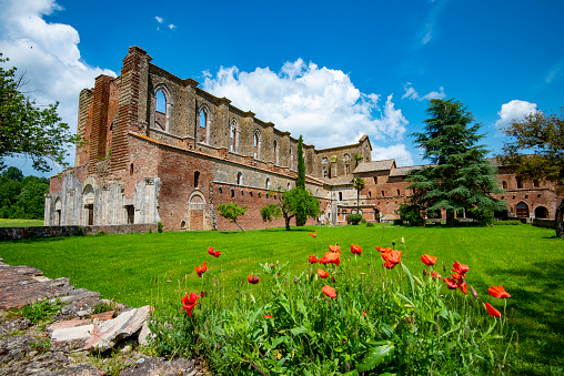 Ruins of Abbey of San Galgano - Italy