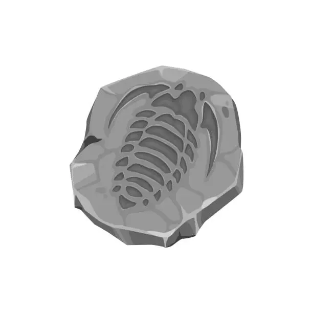 Vector illustration of Ancient mollusc animal fossil imprint in stone
