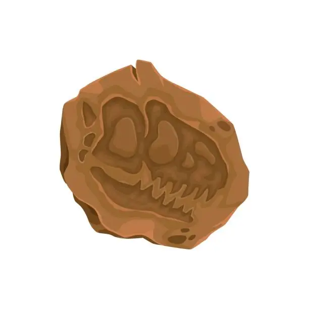 Vector illustration of Ancient dinosaur fossil in stone, skull imprint
