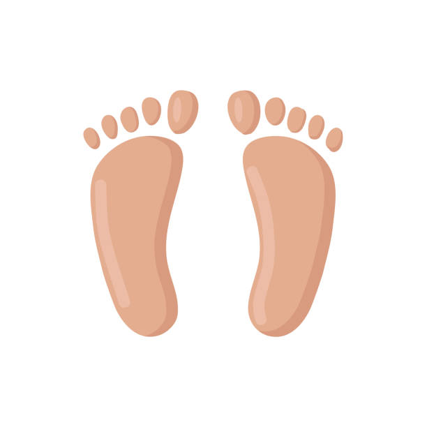 ilustrações de stock, clip art, desenhos animados e ícones de feet icon clipart avatar logotype isolated vector illustration - human foot pain white background isolated