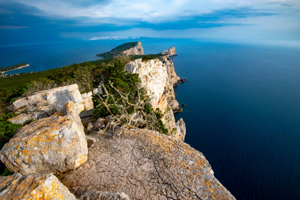 istock Natural Park of Porto Conte 1903390727