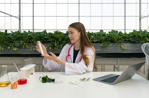 A scientist conducting research with a laptop within a vegetation-rich greenhouse.