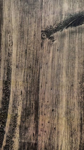 istock isolated light brown abstract wooden wall background 1903521083