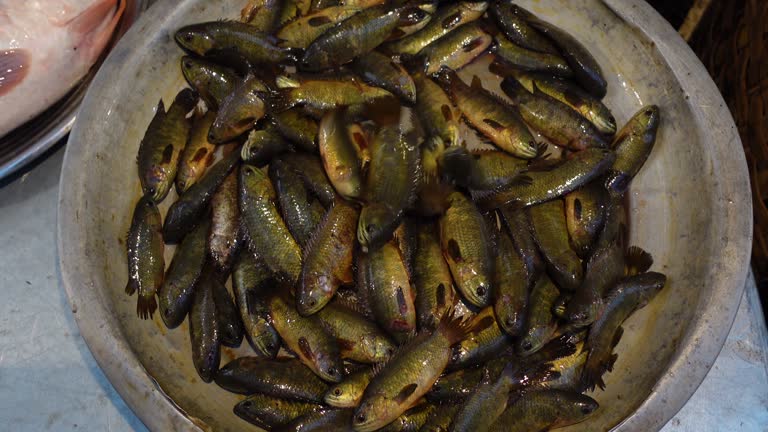 Freshwater Climbing Perch Fish (Koi Maas) on silver plate for sale at local fish market.