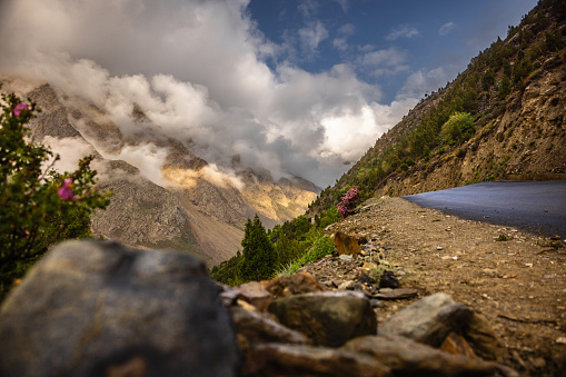Himalayan Mountain range, roads and rivers, en route Manali to Leh, Himachal Pradesh