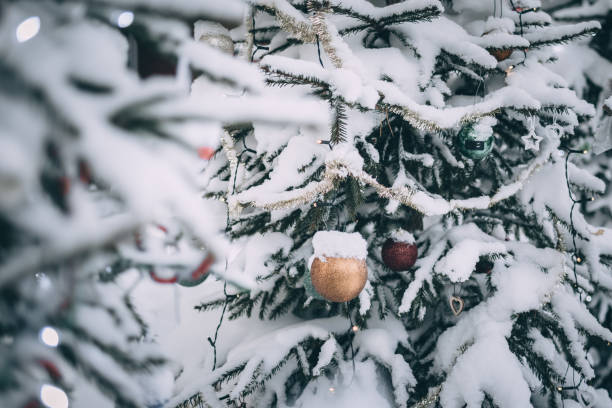 istock Christmas tree with snow and red and gold balls 1903560233