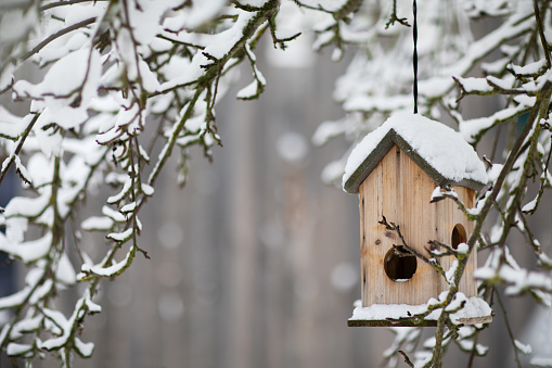 Snow-covered bird feeder in the winter garden. Close-up in Stein, Bavaria, Germany