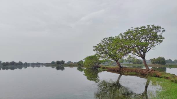 istock Natural view background of a lake and tree with a road during cloudy day 1903576076