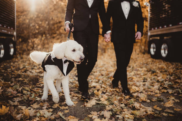 istock Same sex wedding in tuxedos with dog 1903587578
