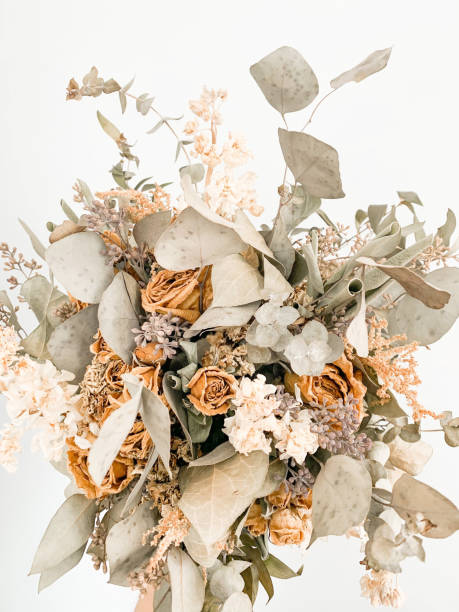 istock Dead, Dried, Preserved Wedding Bouquet 1903596907