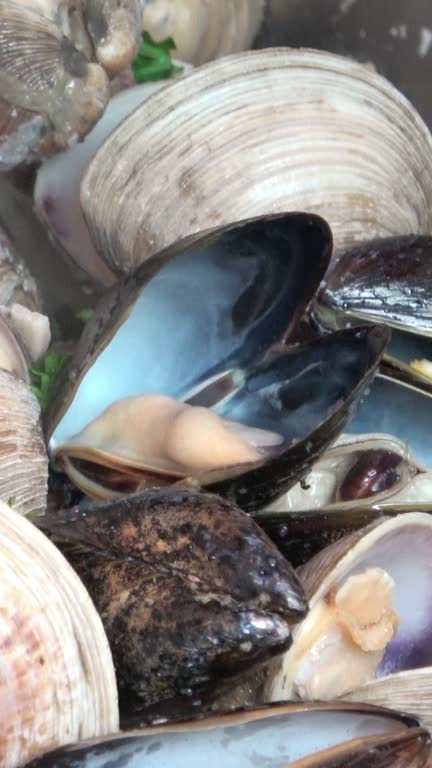 Steamed Clams and Mussels ready to eat.