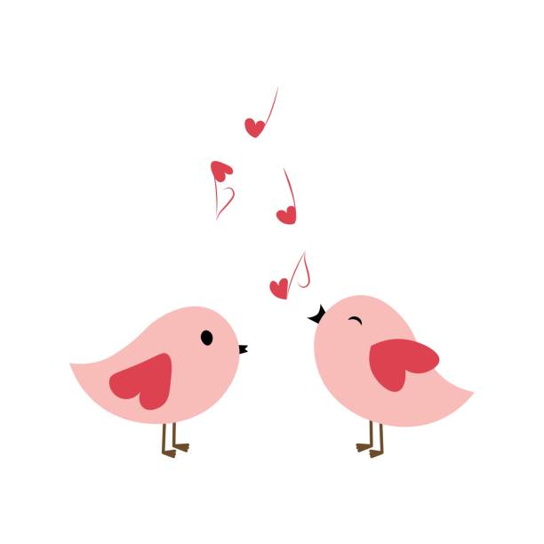 Cute bird couple flat vector illustration isolated on white background Cute bird couple flat vector illustration isolated on white background. Element for Valentine's day concept. Doodles clip art in cartoon style. Happy Valentine's day. happy valentine day clip art stock illustrations
