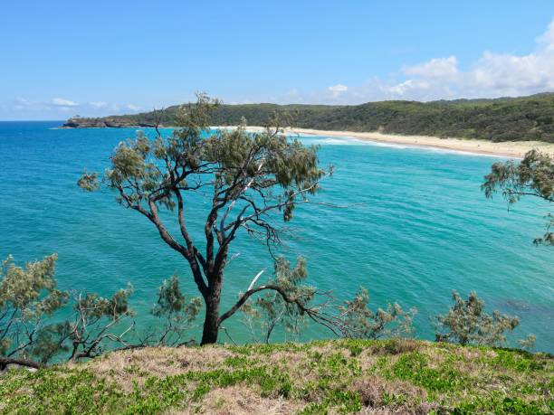 istock The Breathtaking Coastal Scenery 1903697731
