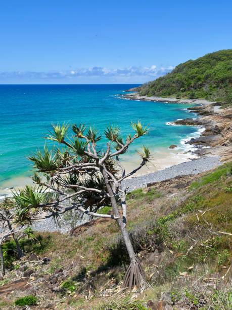 istock The Breathtaking Coastal Scenery 1903700842