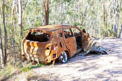 Photograph of a small car that has been abandoned on a dirt road in a large forest and then set on fire and destroyed