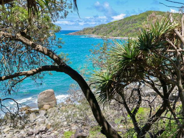 istock The Lush Australian Coast 1903721356