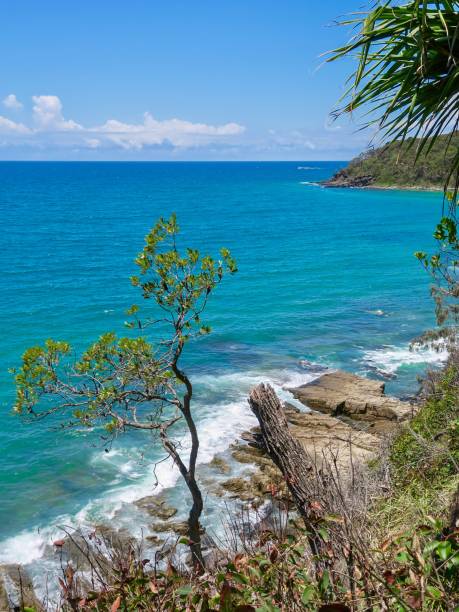 istock The Spectacular Australian Coast 1903727093