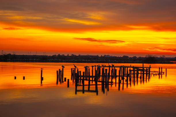 istock Sunrise at the Phoebus Pier 1903731039