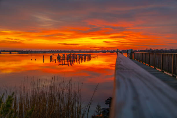 istock Sunrise at the Phoebus Pier 1903731782
