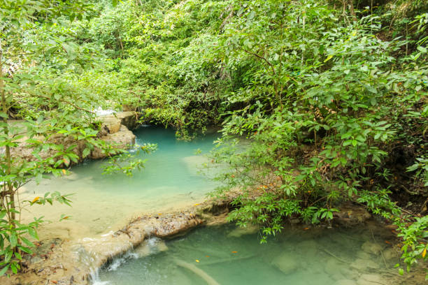 istock Jungle landscape with flowing turquoise water of Erawan cascade waterfall 1903751801