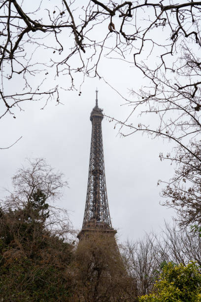 istock Then Eiffel in Paris in the park whit trees 1903757570